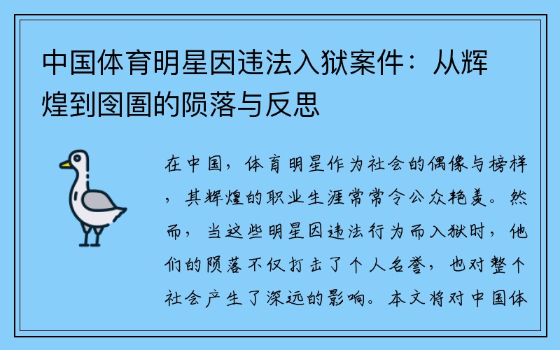 中国体育明星因违法入狱案件：从辉煌到囹圄的陨落与反思